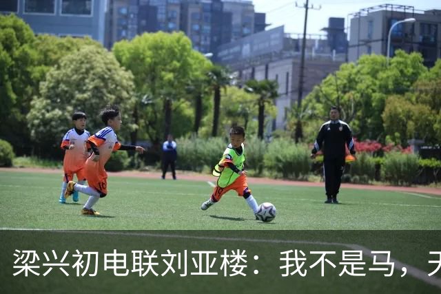 梁兴初电联刘亚楼：我不是马，天天吃豆子，刘：大胆，你骂谁？