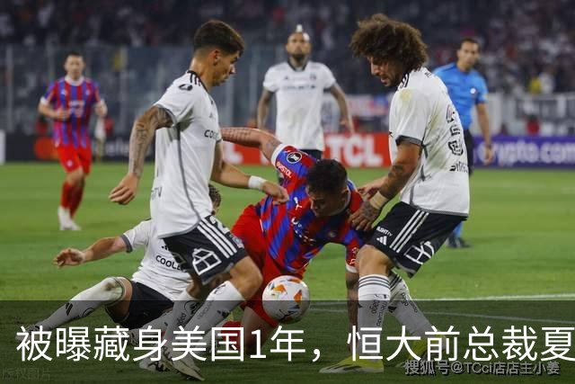 被曝藏身美国1年,恒大前总裁夏海钧再迎噩耗,肠子悔青也晚了