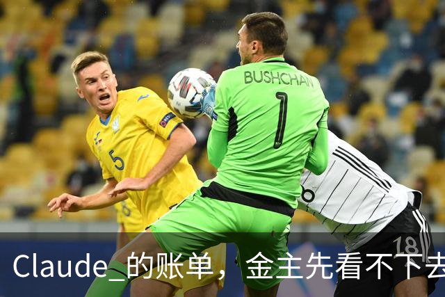Claude 的账单，金主先看不下去了